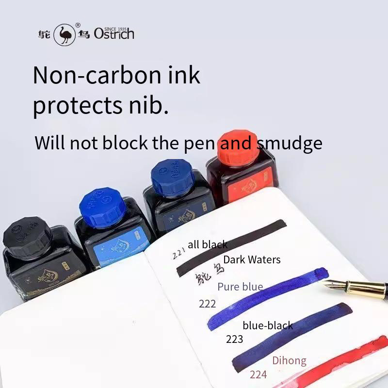 Ostrich 2-Series Fountain Pen  - Fountain Pen Bottled Ink avis et prix