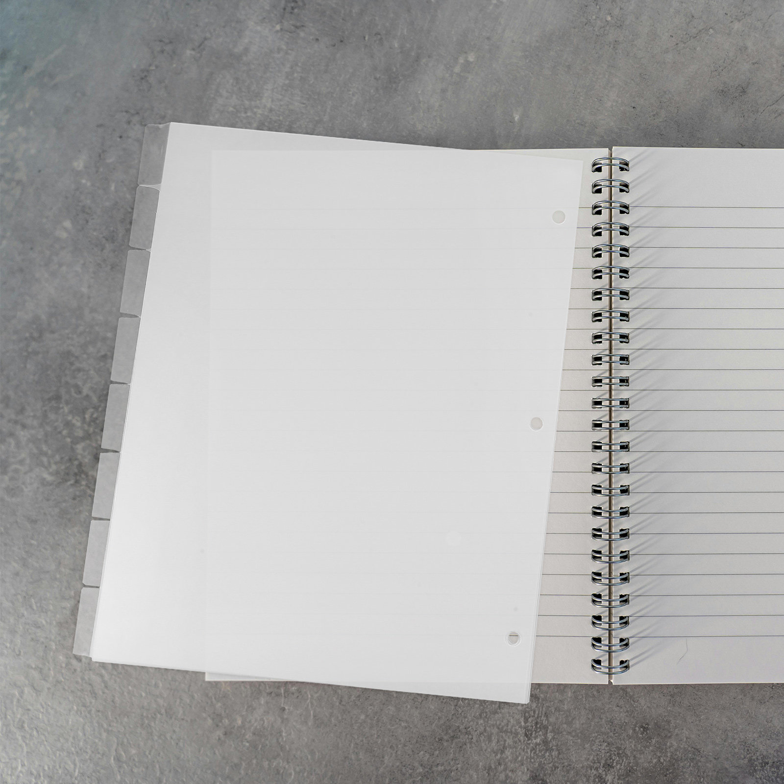 8 Sheets Premium PP Index Divi - Tab Divider A4 avis et prix
