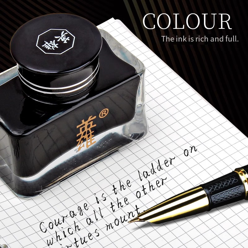Hero 8806 Black Fountain Pen I - Fountain Pen Bottled Ink avis et prix
